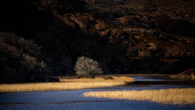 Killarney National Park, County Kerry, Ireland